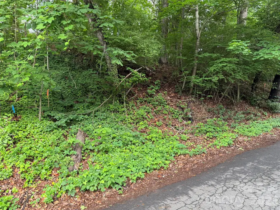 87 Iris Street, Asheville, NC 28803 - #3