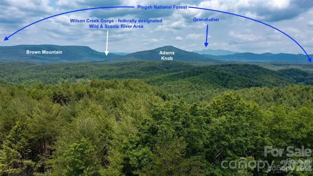 Lot 731, 5971 Box Turtle Run #731, Lenoir, NC 28645 - #1