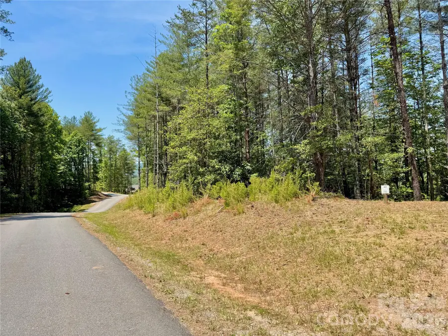 Lot 731, 5971 Box Turtle Run #731, Lenoir, NC 28645 - #3