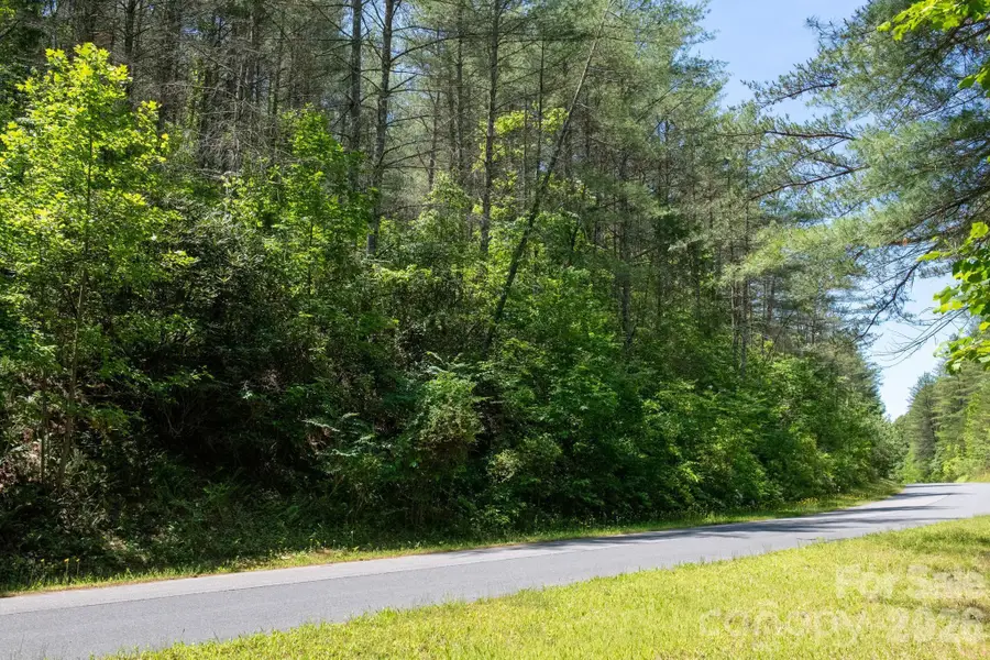 000 Narrow Gauge Drive #18, Lenoir, NC 28645 - #3