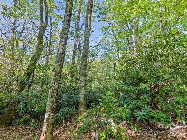 #19 Sleepy Hollow Lane, Waynesville, NC 28786