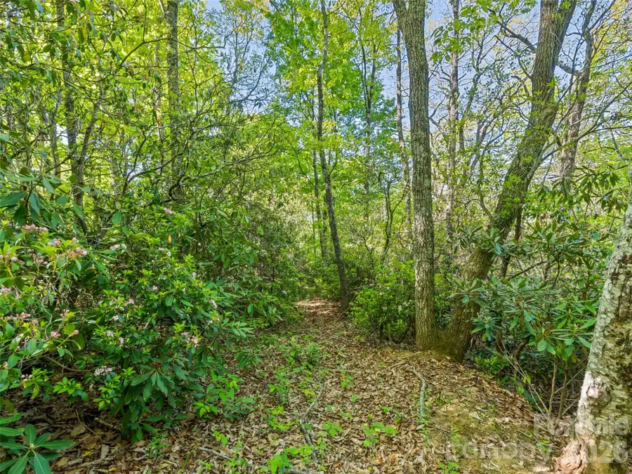 #19 Sleepy Hollow Lane, Waynesville, NC 28786 - #2