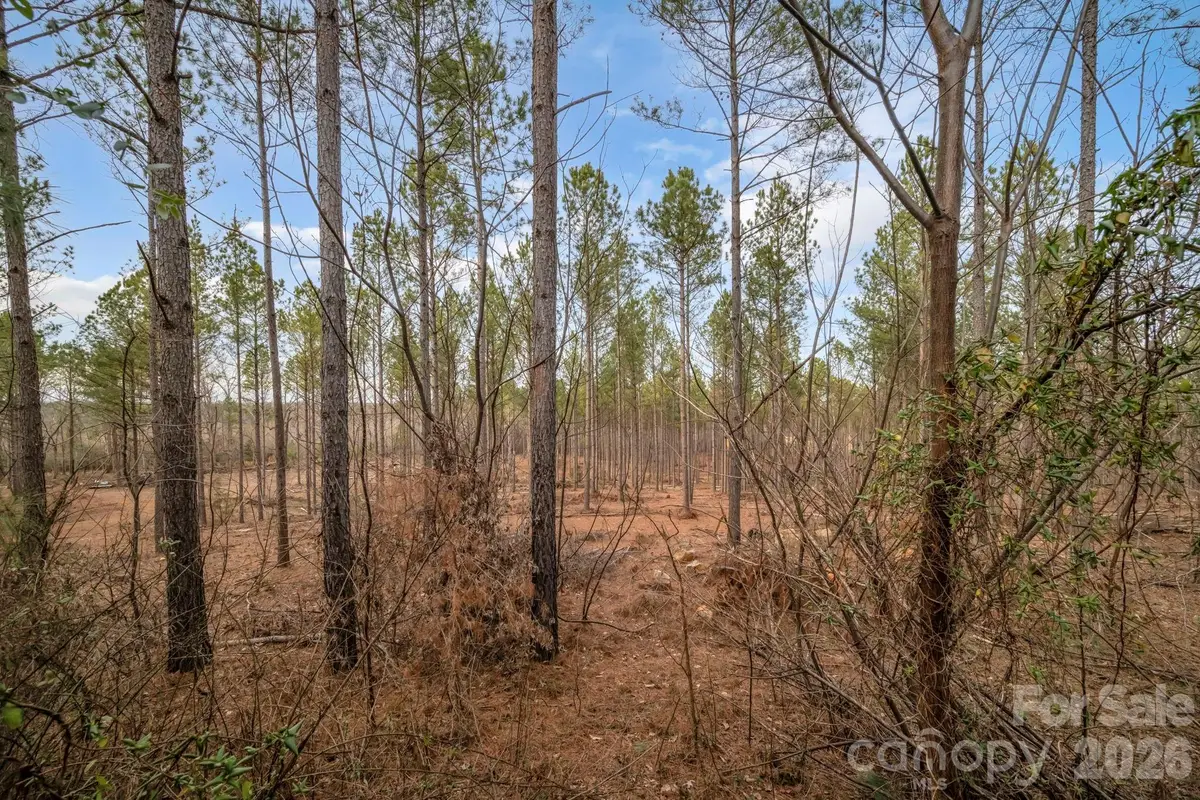 7812-A Hwy 742 Highway, Marshville, NC 28103 - #1