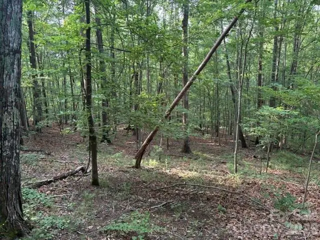 00 Cardinal Circle, Tryon, NC 28782 - #1