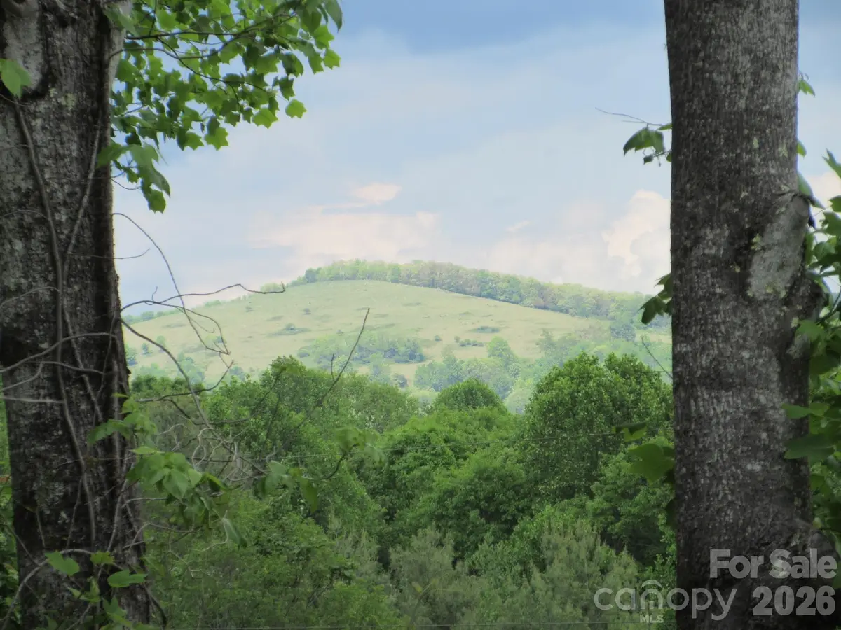 0 Rocky Top Trail #4, Hot Springs, NC 28743 - #1