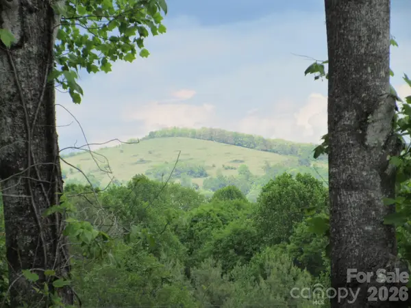 0 Rocky Top Trail #4, Hot Springs, NC 28743