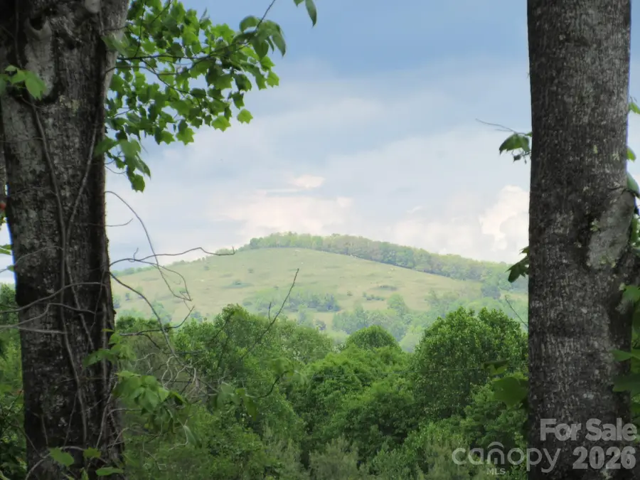 0 Rocky Top Trail #4, Hot Springs, NC 28743 - #2