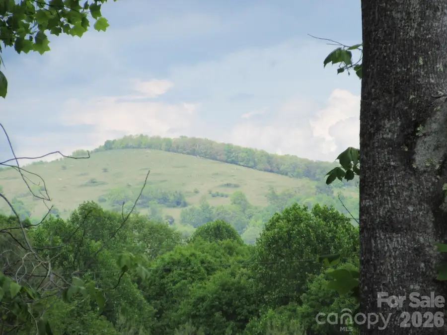 0 Rocky Top Trail #4, Hot Springs, NC 28743 - #3