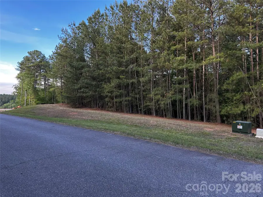308 Harbor Watch Drive, Connelly Springs, NC 28612 - #2