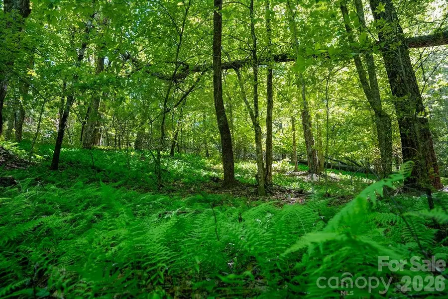 262 Wingfield Way, Brevard, NC 28712 - #2