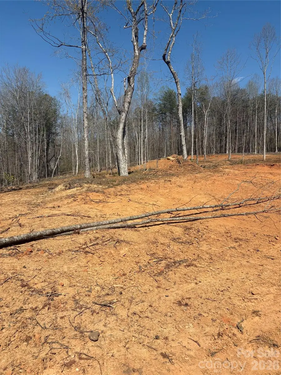 TBD Avenida De Oro Road #3, Morganton, NC 28655 - #3