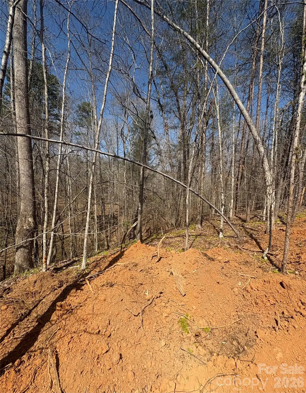 TBD Avenida De Oro Road #3.2, Morganton, NC 28655 - #1