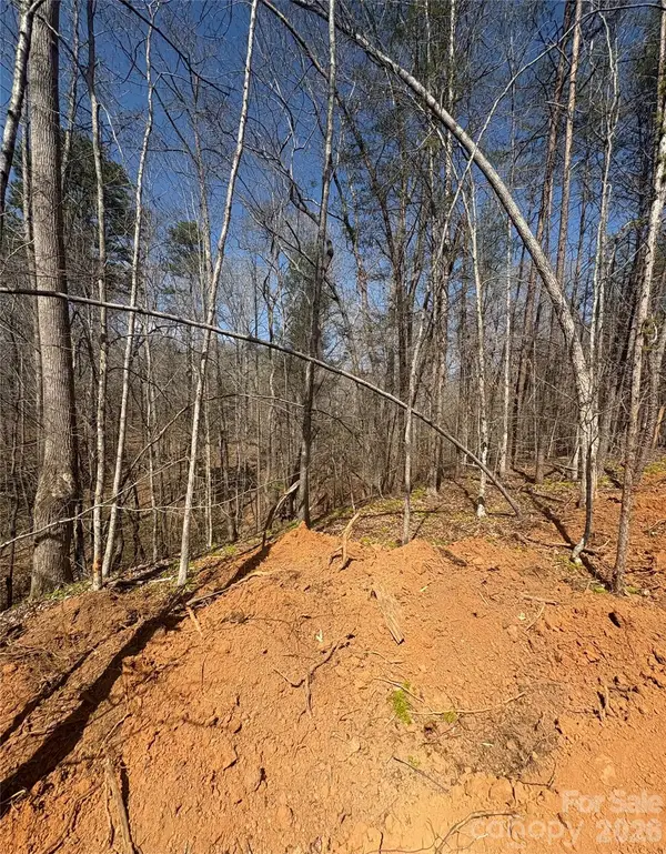 TBD Avenida De Oro Road #3.2, Morganton, NC 28655