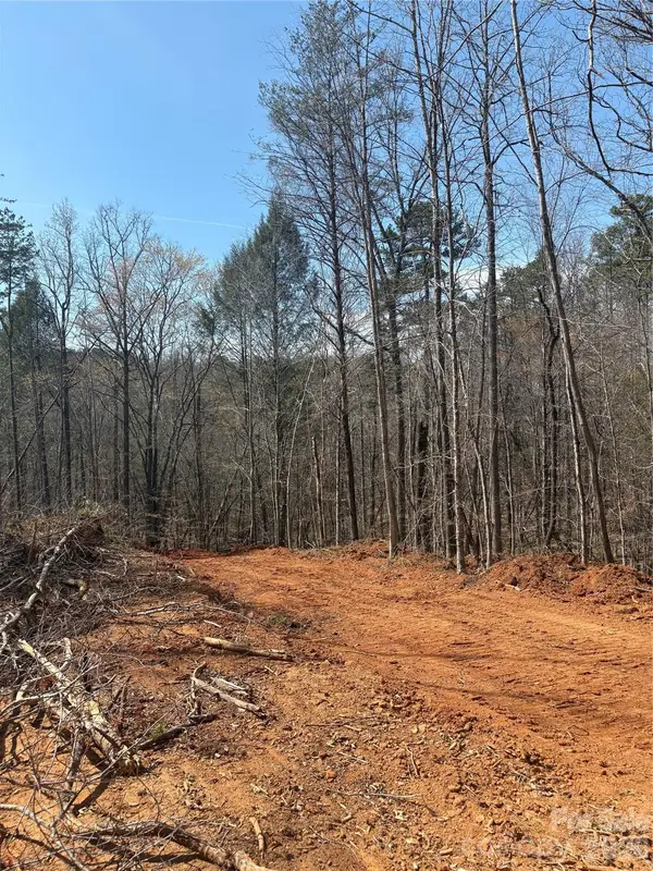 TBD Avenida De Oro Road #2.3, Morganton, NC 28655