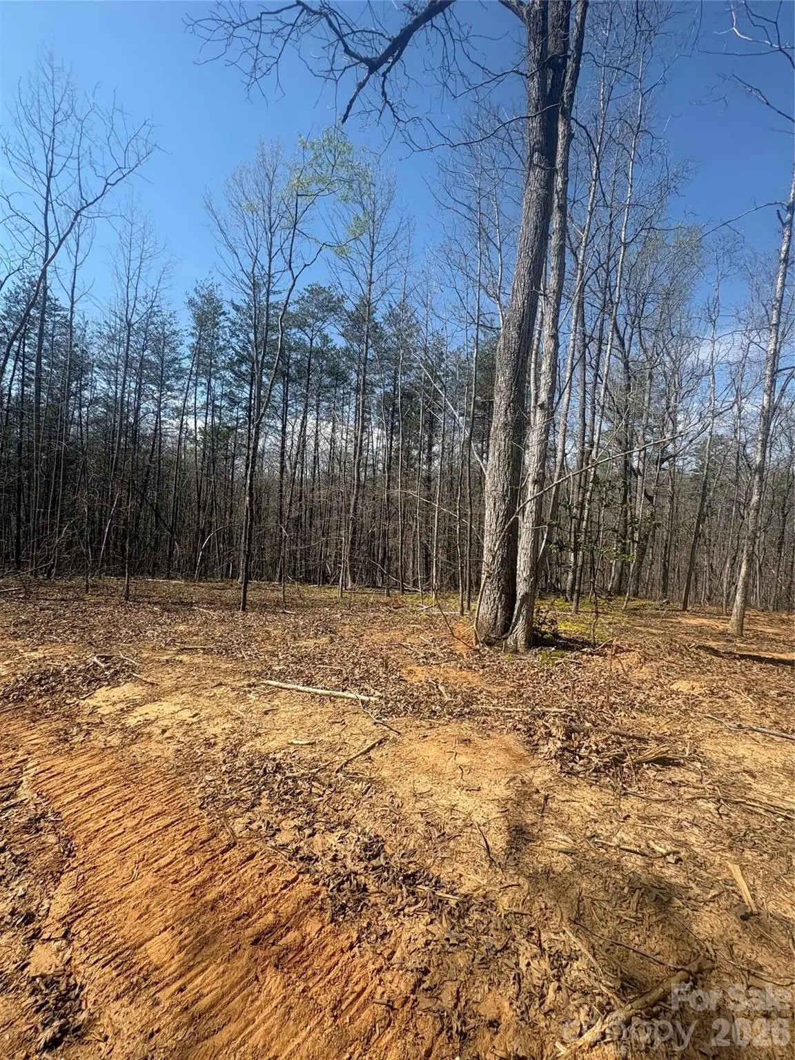 TBD Avenida De Oro Road #3.1, Morganton, NC 28655 - #1