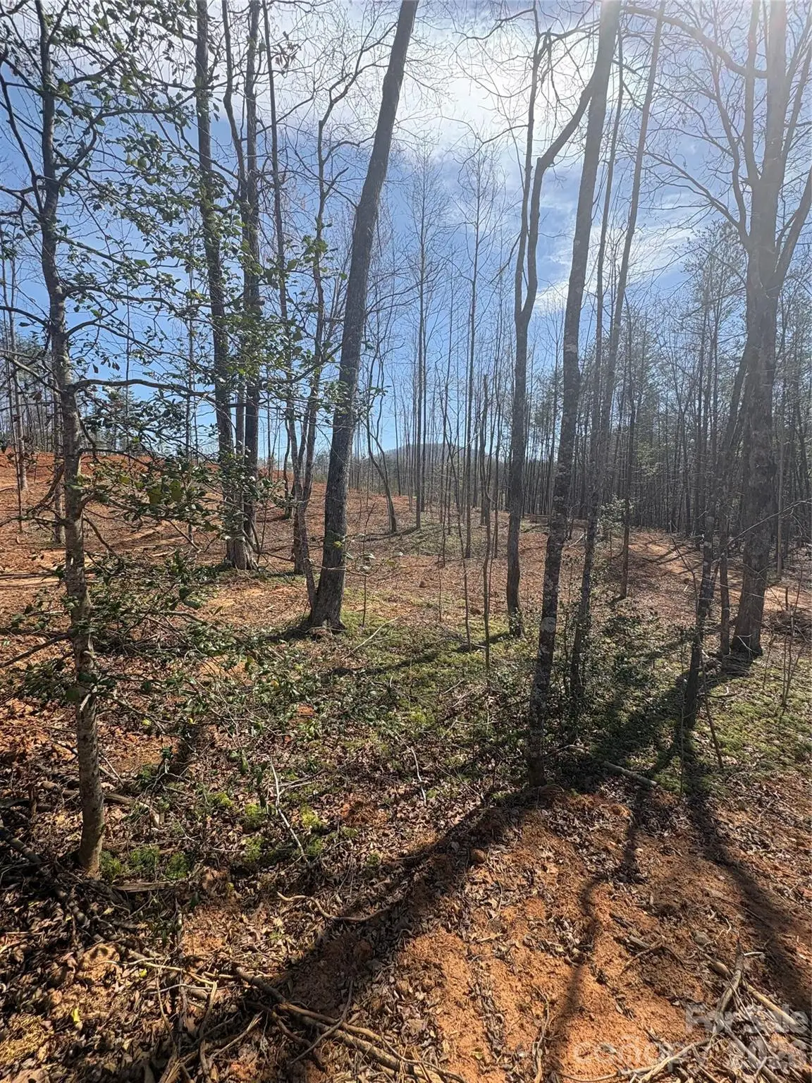 TBD Avenida De Oro Road #2.1, Morganton, NC 28655 - #1