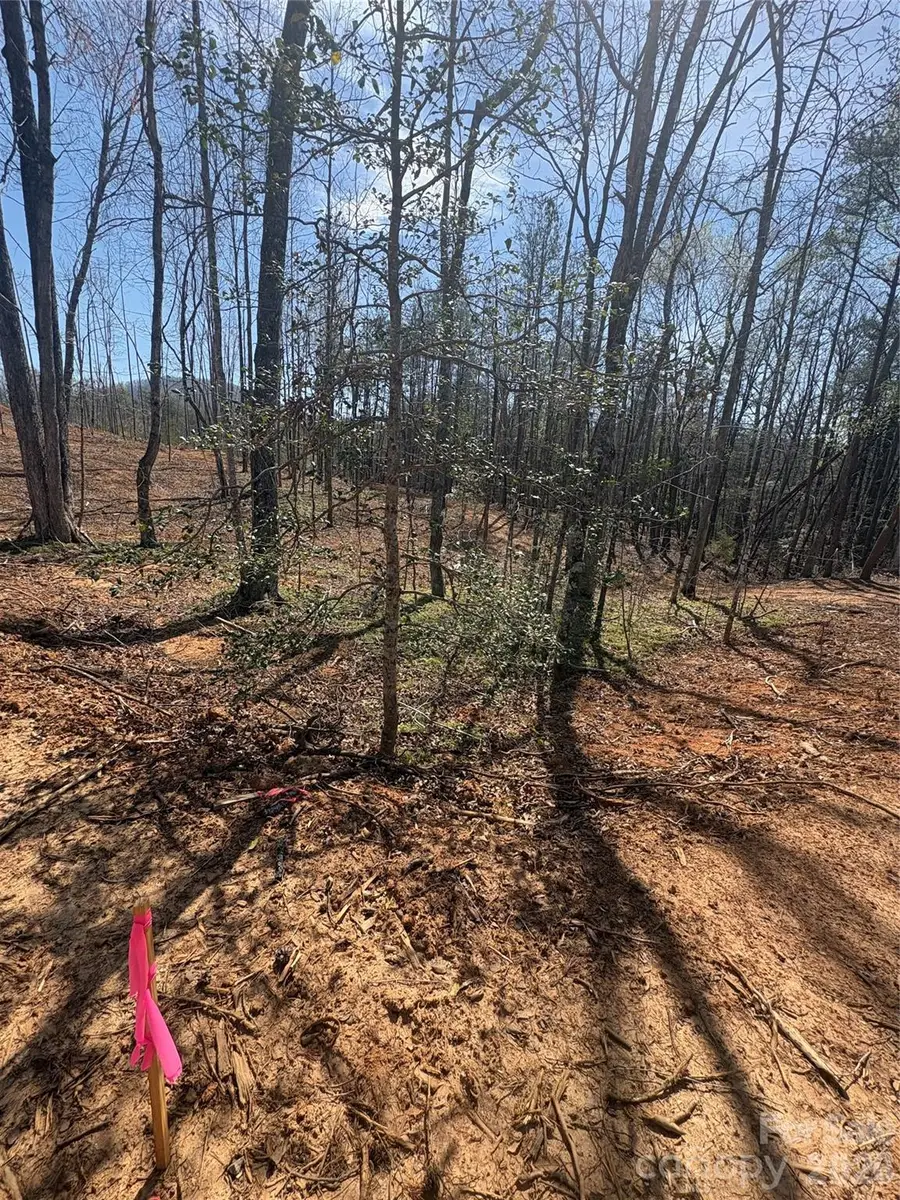 TBD Avenida De Oro Road #2.1, Morganton, NC 28655 - #2