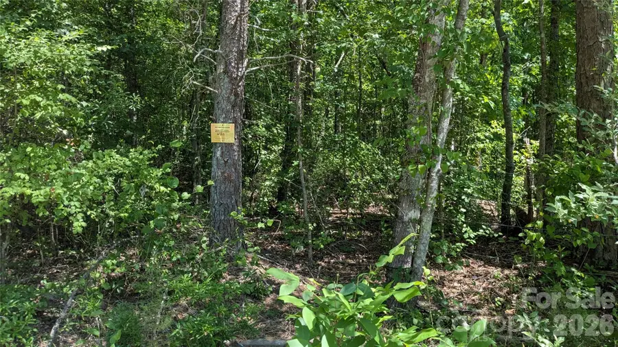 115 Neva Drive, Shelby, NC 28152 - #2