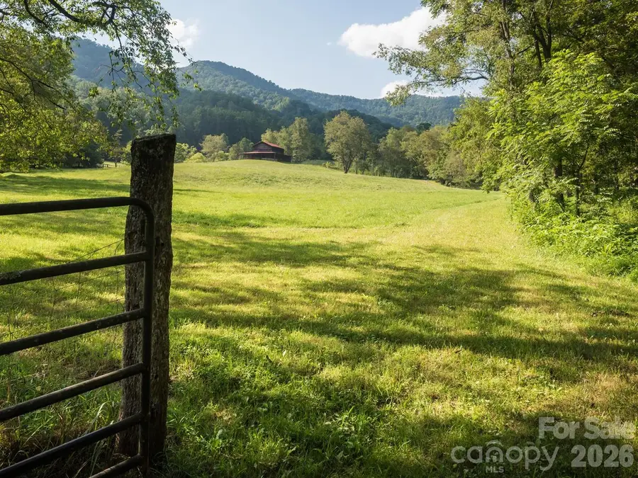 741 & 99999 Morrow Branch Road, Leicester, NC 28748 - #3