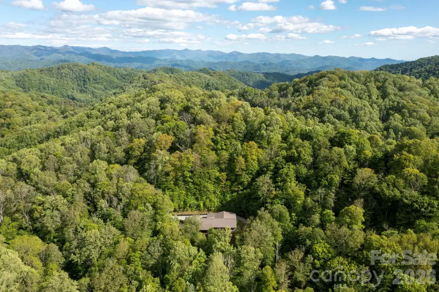 592 Susanna Cove Road, Mars Hill, NC 28754 - #3