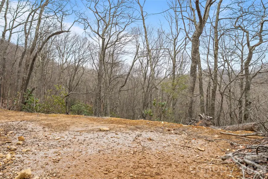 1480 Odalu Trail, Maggie Valley, NC 28751 - #2