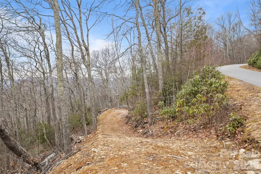 1480 Odalu Trail, Maggie Valley, NC 28751 - #3