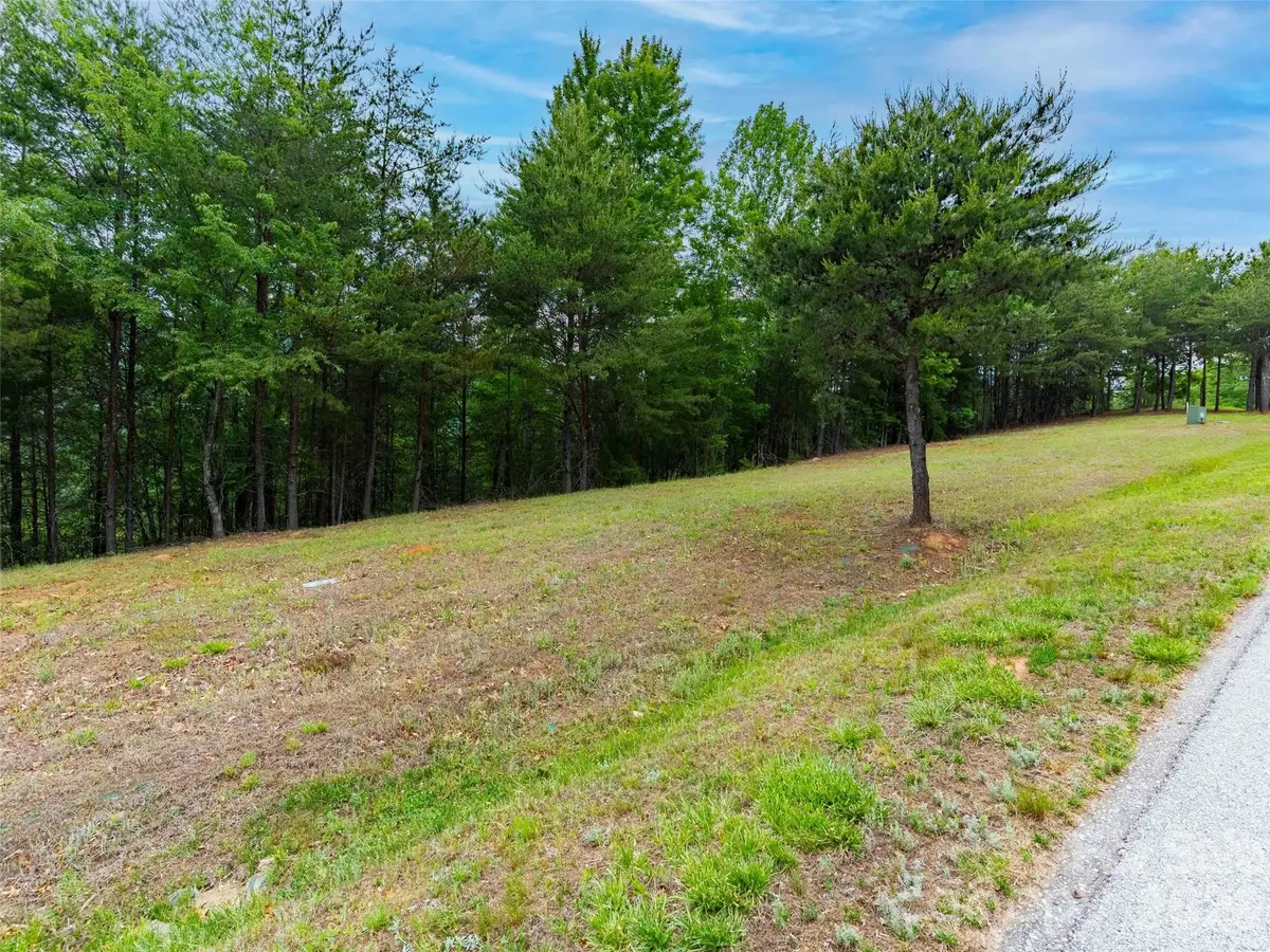 38 Deep Gap Farm Road E #38, Mill Spring, NC 28756 - #1