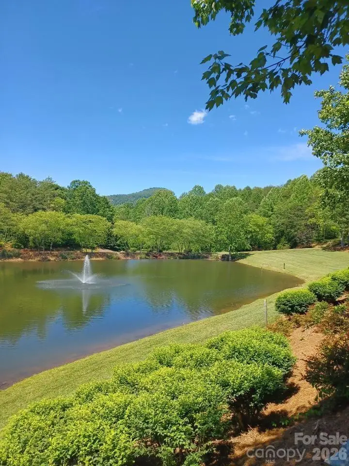 106 Cornell Circle, Lake Lure, NC 28746 - #1