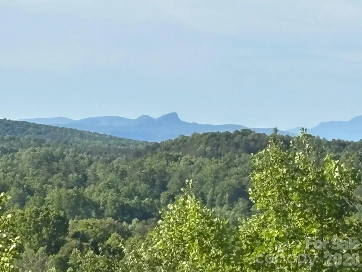 TBD Vein Mountain Road #6, Nebo, NC 28761 - #1