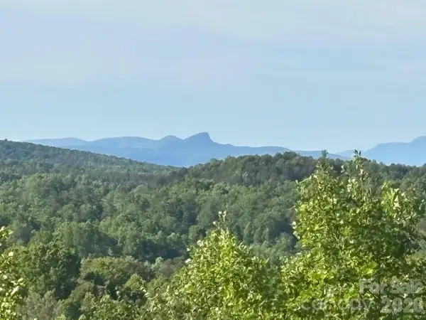 TBD Vein Mountain Road #6, Nebo, NC 28761