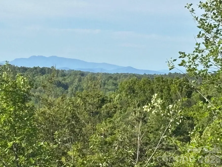 TBD Vein Mountain Road #6, Nebo, NC 28761 - #2