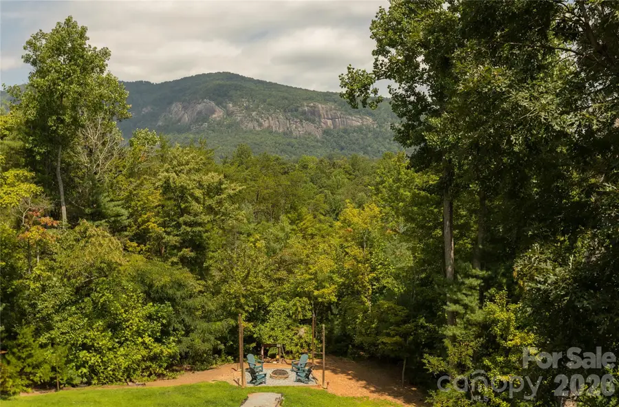 517 Luther Burbank Drive, Lake Lure, NC 28746 - #3