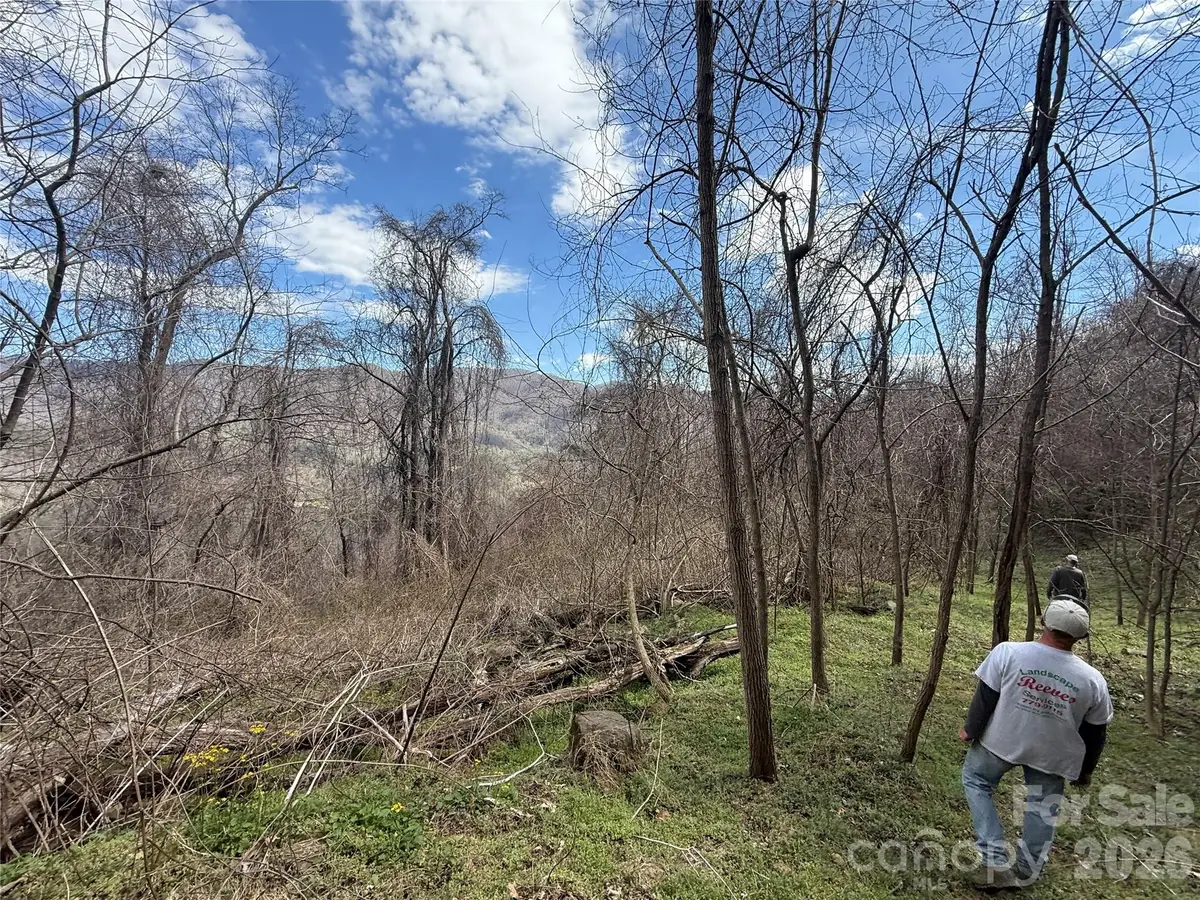 000 Caldwell Mountain Road, Hot Springs, NC 28743 - #1