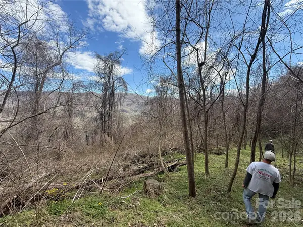 000 Caldwell Mountain Road, Hot Springs, NC 28743