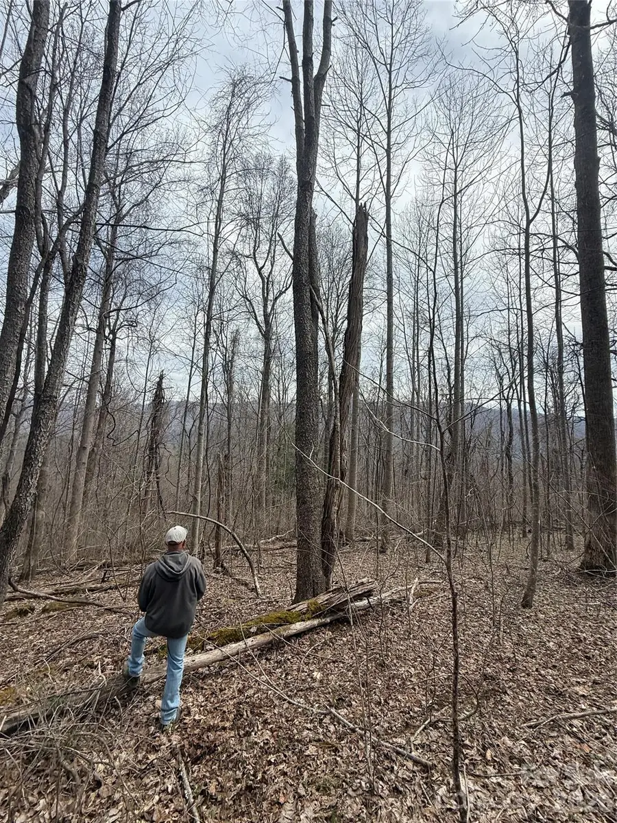 000 Caldwell Mountain Road, Hot Springs, NC 28743 - #3