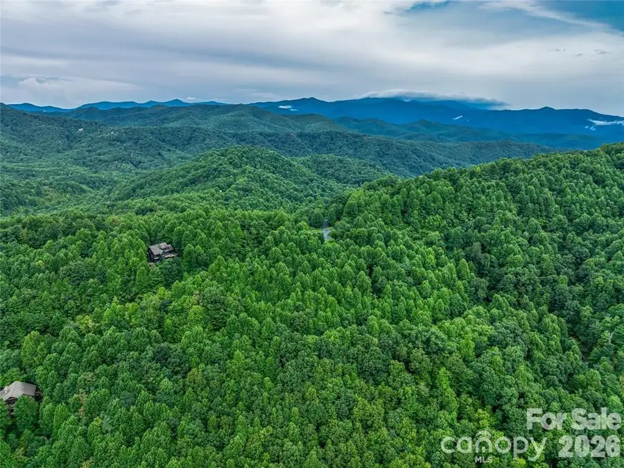 9999 Kestrel Lane, Black Mountain, NC 28711 - #2