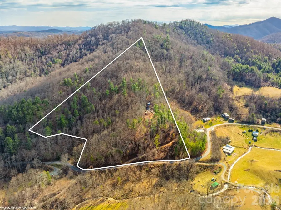 2504 Upper Paw Paw Road, Marshall, NC 28753 - #2