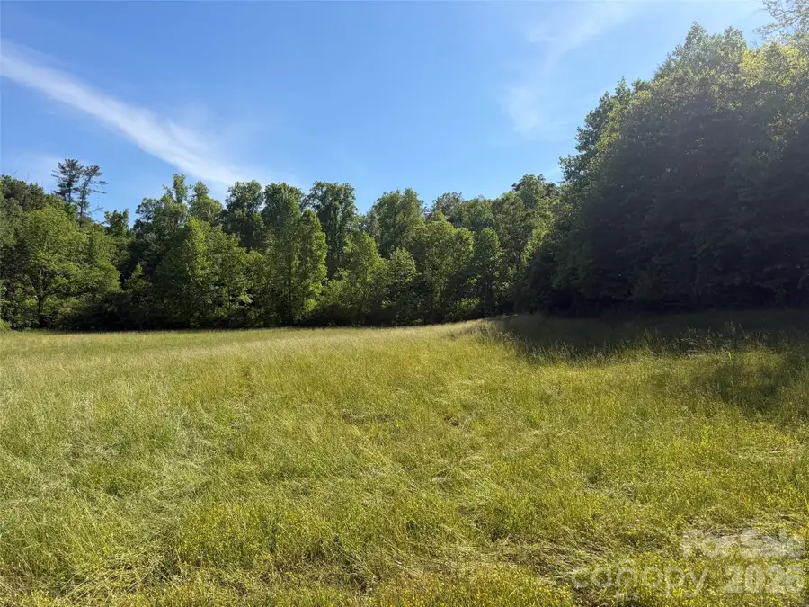 000 Parker Padgett Road, Old Fort, NC 28762 - #2