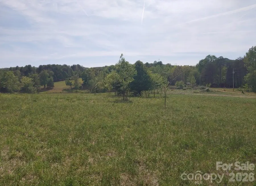 Off Landis Lane, Nebo, NC 28761 - #2