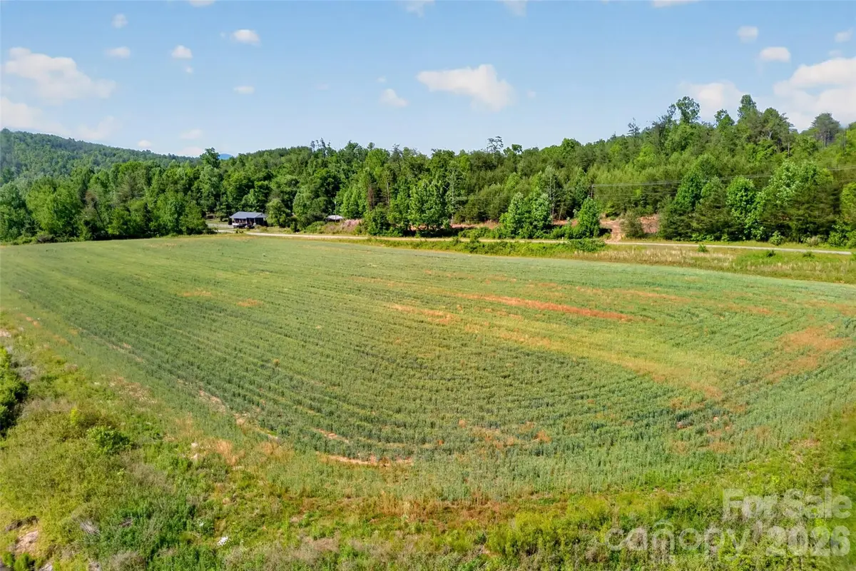 3361 Bethlehem Road, Old Fort, NC 28762 - #1