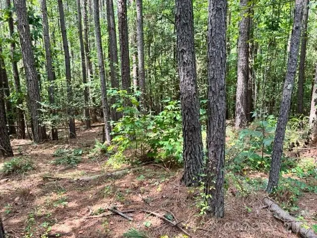 100 Shortoff Trail Nw #156, Valdese, NC 28690 - #2