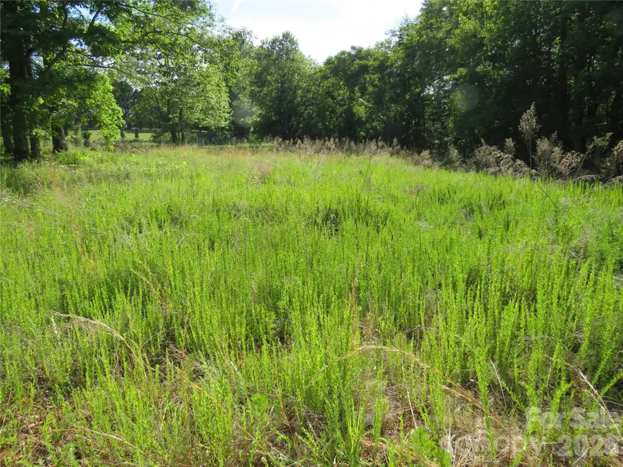 0 Blue Sapphire Lane, Rutherfordton, NC 28139 - #3
