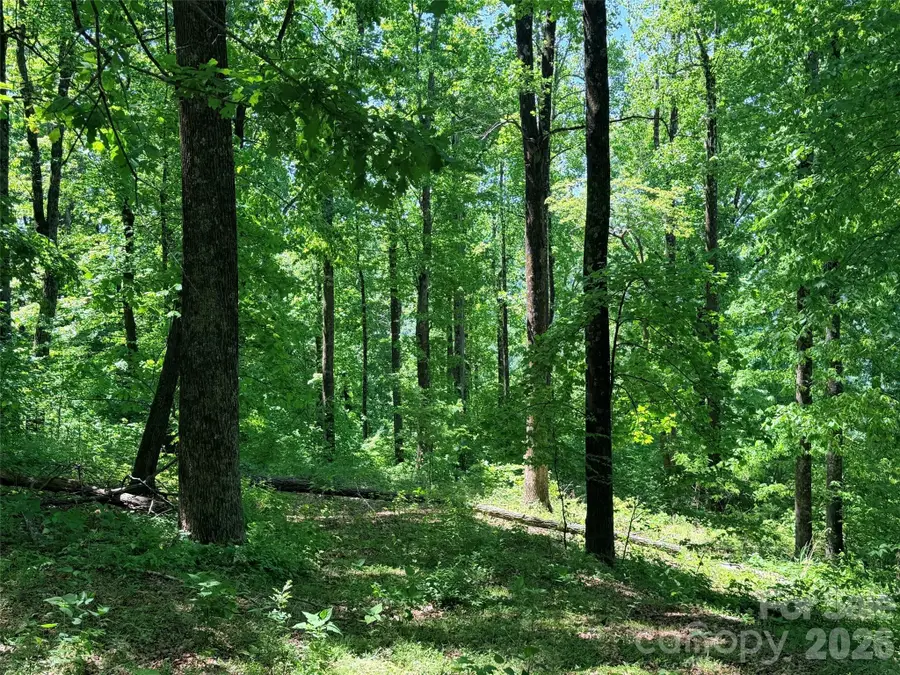 Lot 10 Timbercliff Trail, Black Mountain, NC 28711 - #2