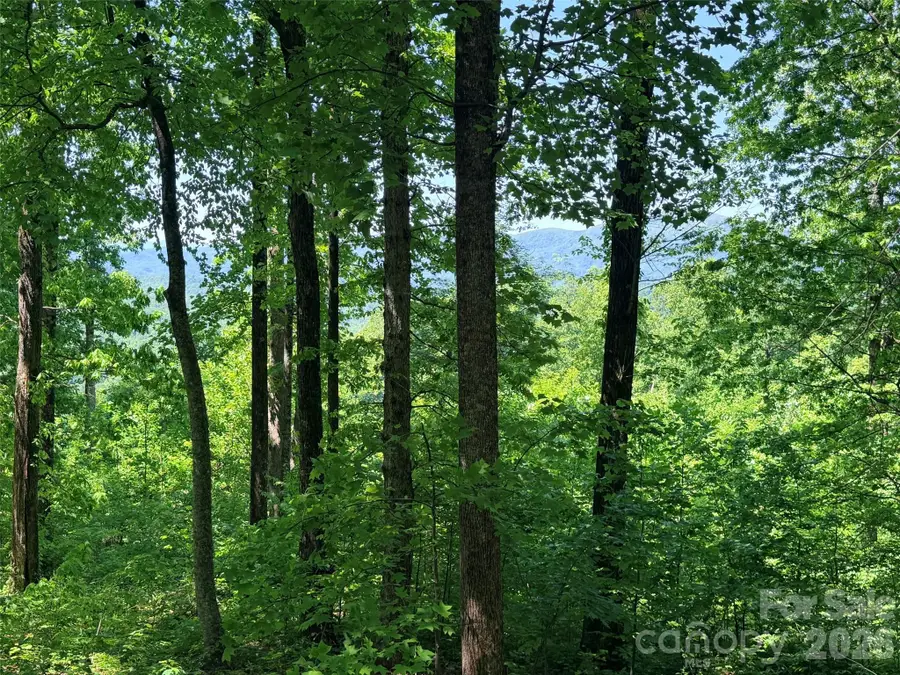 Lot 10 Timbercliff Trail, Black Mountain, NC 28711 - #3