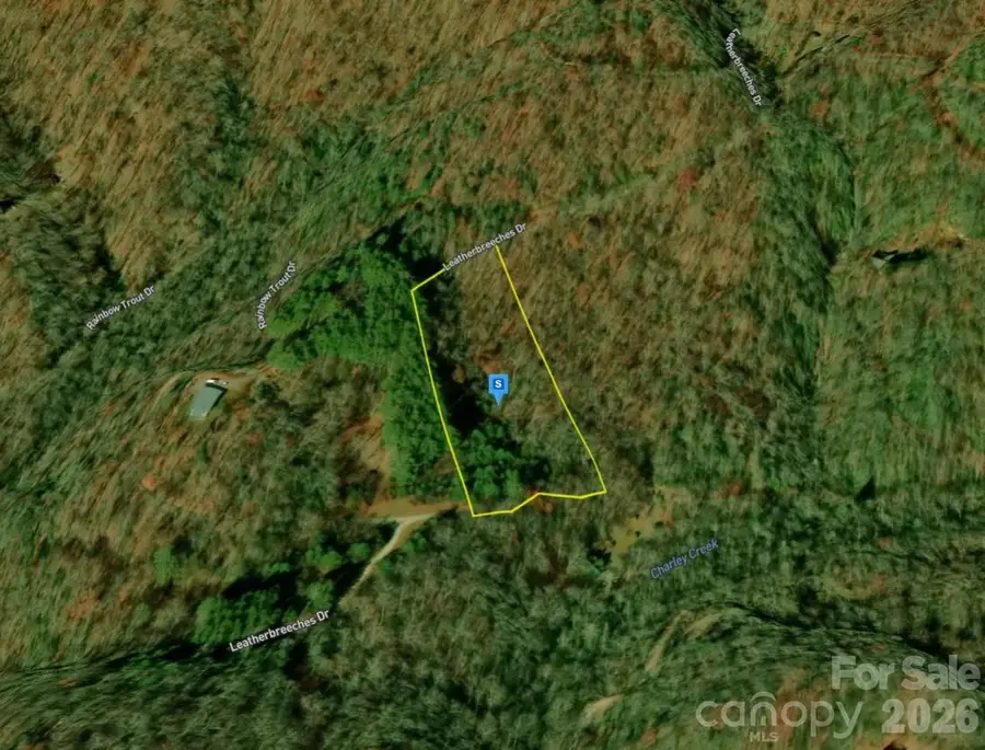 51 Bear Track Drive, Tuckasegee, NC 28783 - #3