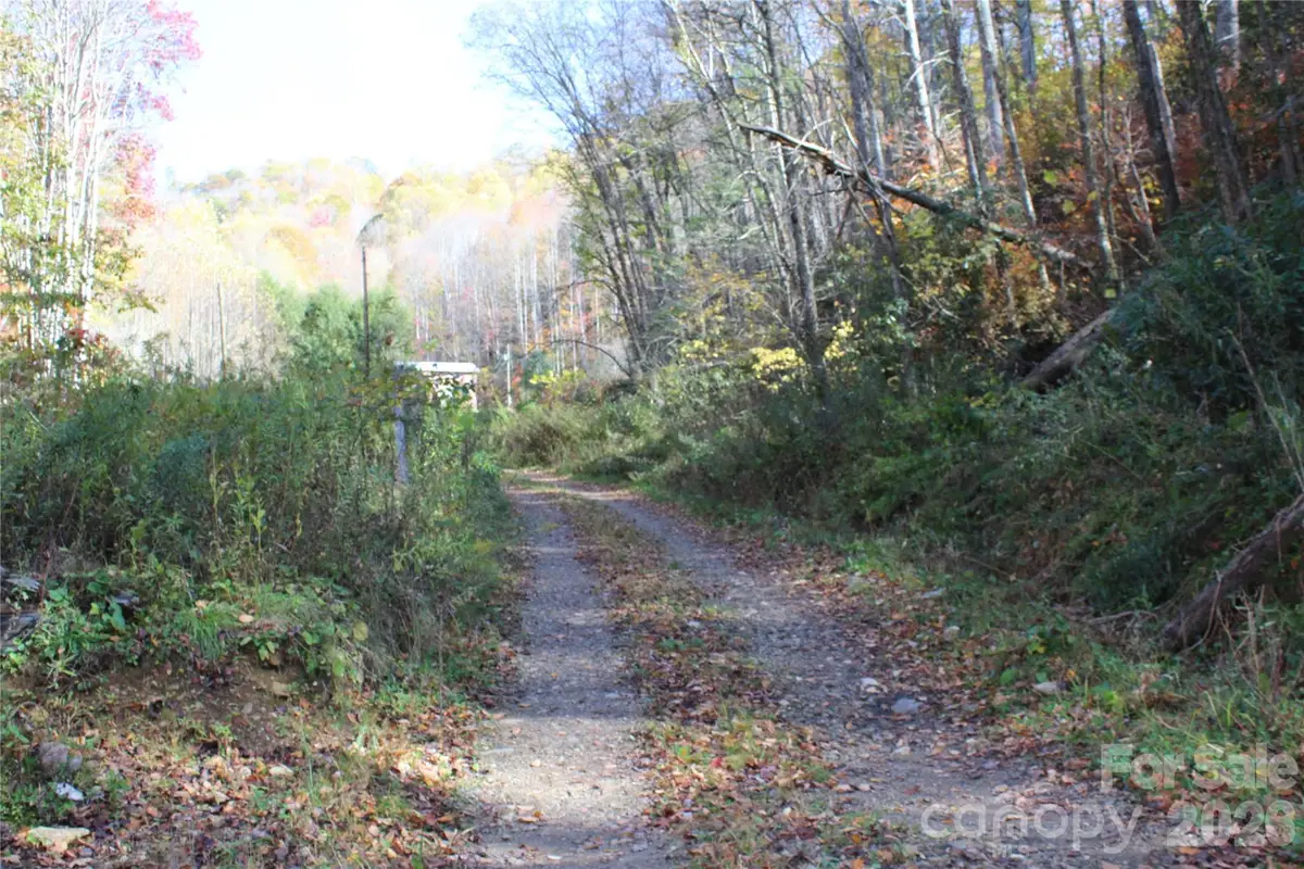 44 Toms Creek Road, Bakersville, NC 28705 - #1