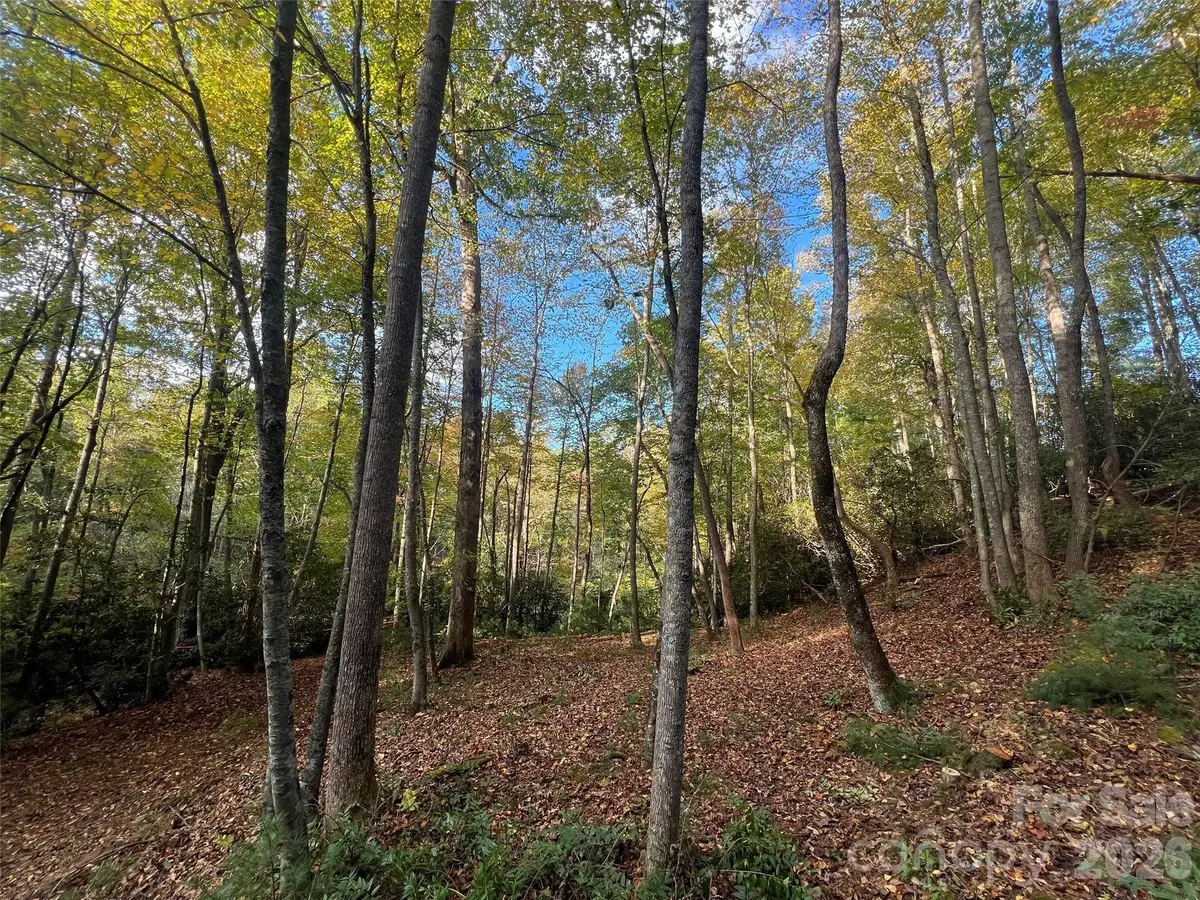 6 Dividing Ridge Trail #01, Arden, NC 28704 - #1