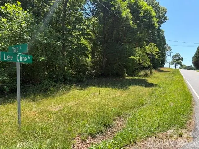 4702 Lee Cline Road, Conover, NC 28613 - #3