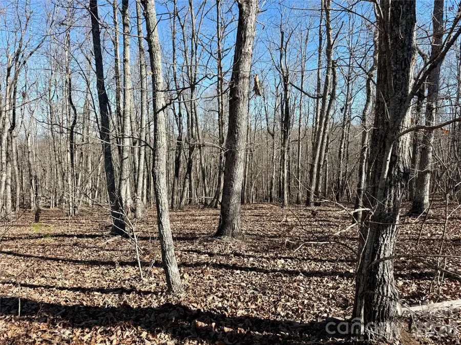 108 Woodgate Trail #94, Nebo, NC 28761 - #3