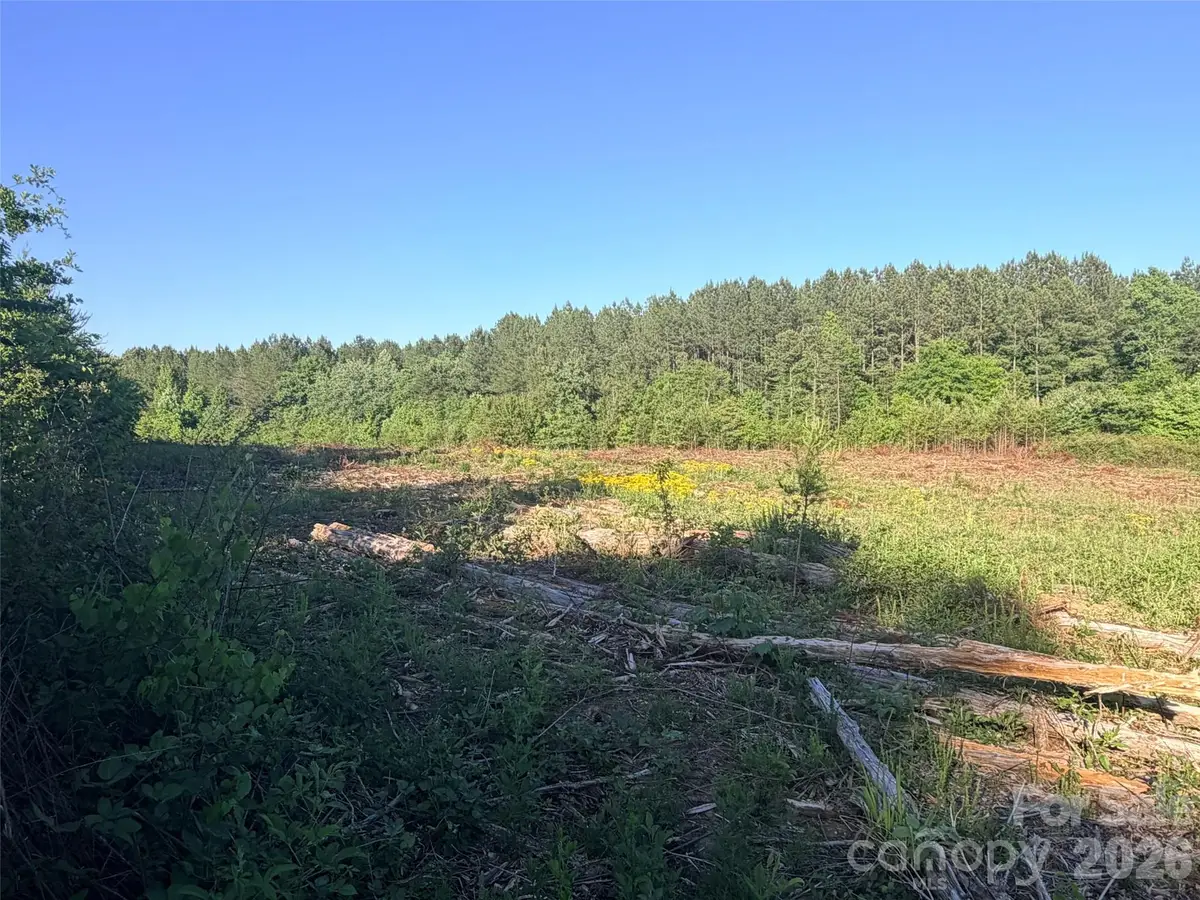 Lot 2 Doggett Grove Road, Forest City, NC 28043 - #1